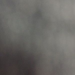 Meet your Posher, Mattie